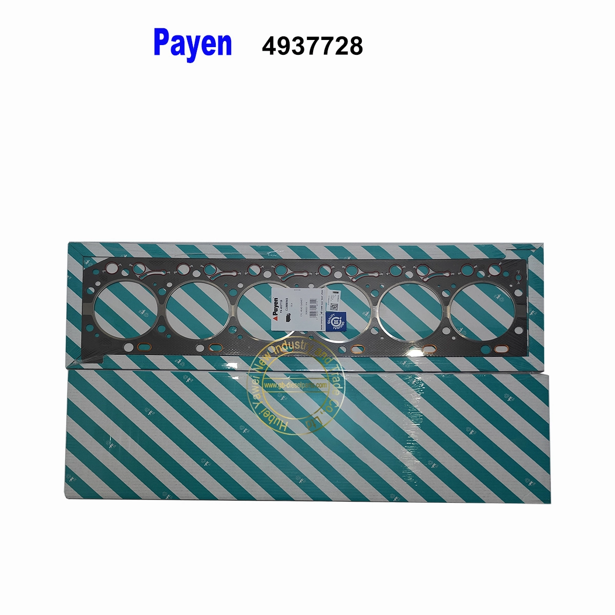Payen Wholesale of original Cummins 4937728 cylinder head gasket - Image 3